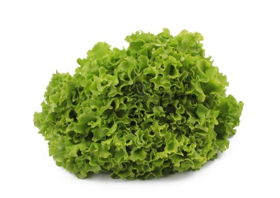 Салат айсберг 300 г - купить в Тубинском